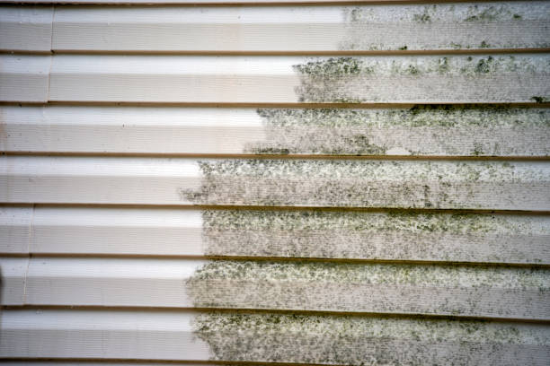Best Shed Removal  in Coldwater, MS