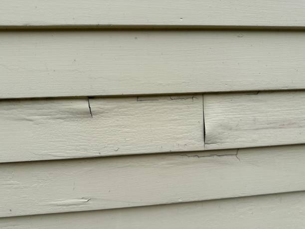 Best Property Management Cleanouts  in Coldwater, MS
